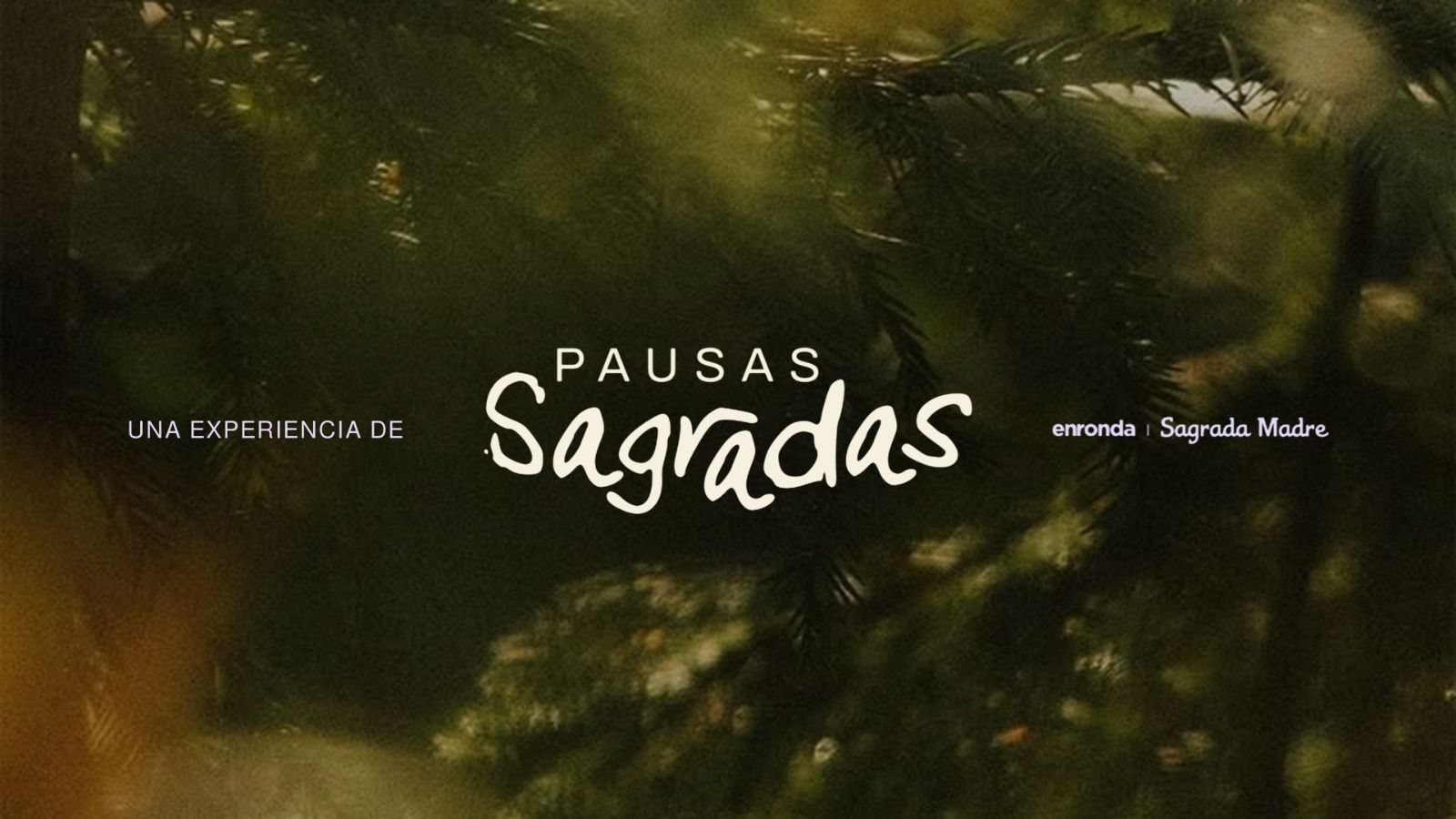 Pausas Sagradas